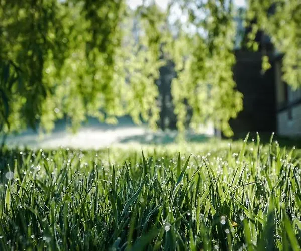 L'herbe Haute Онфлер