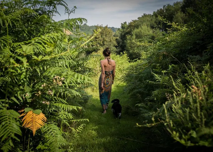 L'herbe Haute Готель типу 