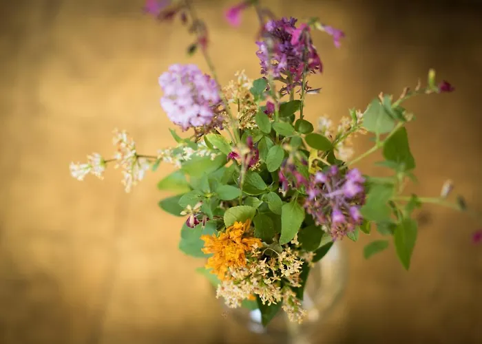 L'herbe Haute Онфлер