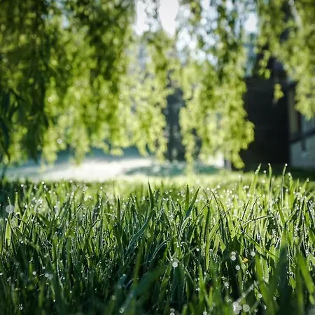 L'herbe Haute Honfleur