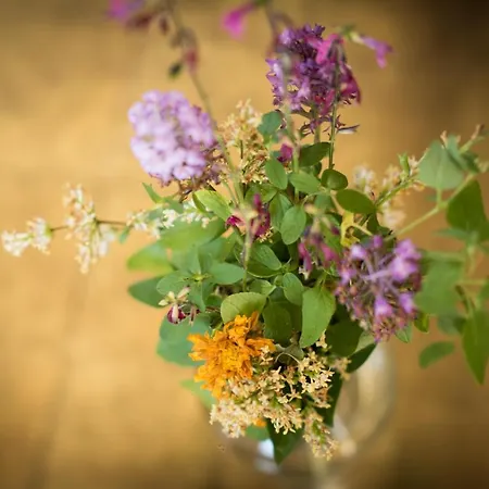 L'herbe Haute Honfleur